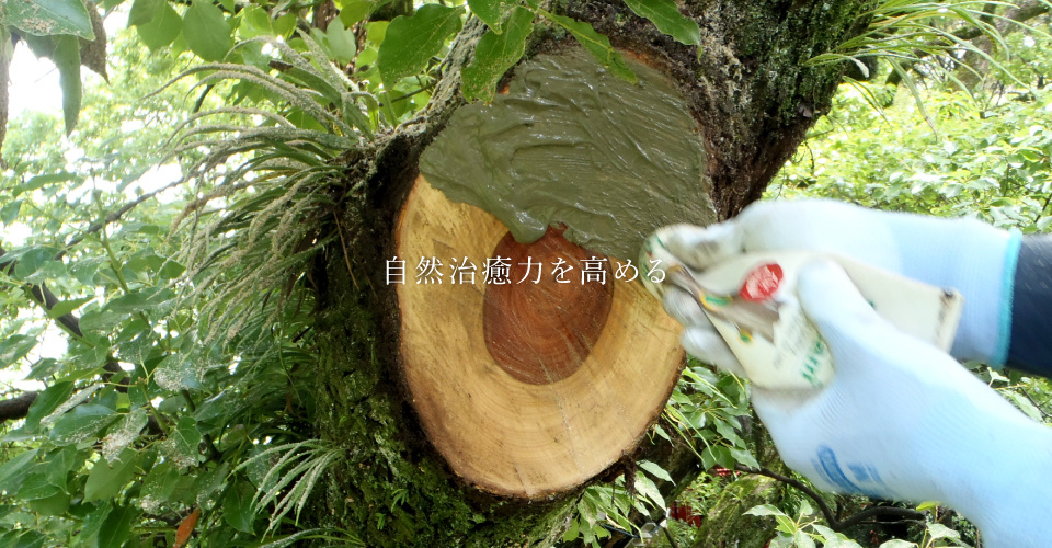 自然治癒力を高める